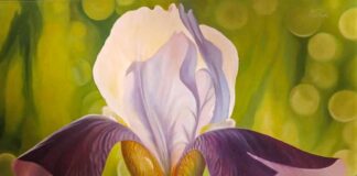 Робота з експозиції виставки до двадцятиріччя діяльності Благодійної організації «Фонд імені Володимира Патика»