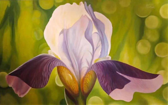 Робота з експозиції виставки до двадцятиріччя діяльності Благодійної організації «Фонд імені Володимира Патика»