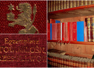 Книгозбірня Товариства шанувальників минувшини Львова. До історії фондів бібліотеки Львівського історичного музею