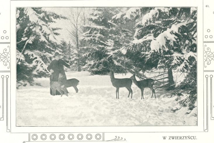 Колегія єзуїтів у Хирові, поч. 1900-х рр.