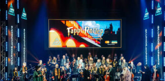 У Львівській опері відбудеться концерт-історія «Гаррі Поттер» від LUMOS Orchestra та хору «Євшан»