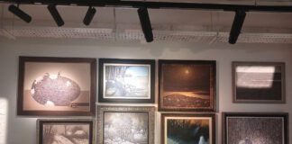 В експозиції Zenyk Art Gallery