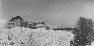 Сніг. Зима. Львів