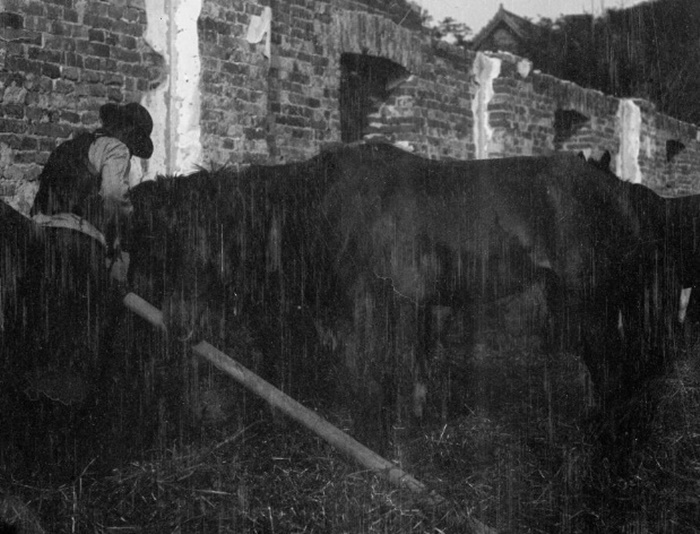 с. Неслухів, 18 серпня 1915 р.