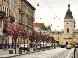 Сакури біля церкви святої Анни у Львові