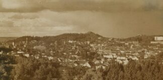 Панорама Львова, фото 1914 року