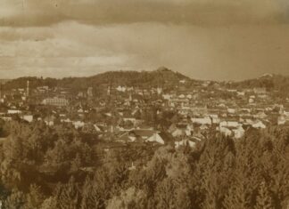 Панорама Львова, фото 1914 року