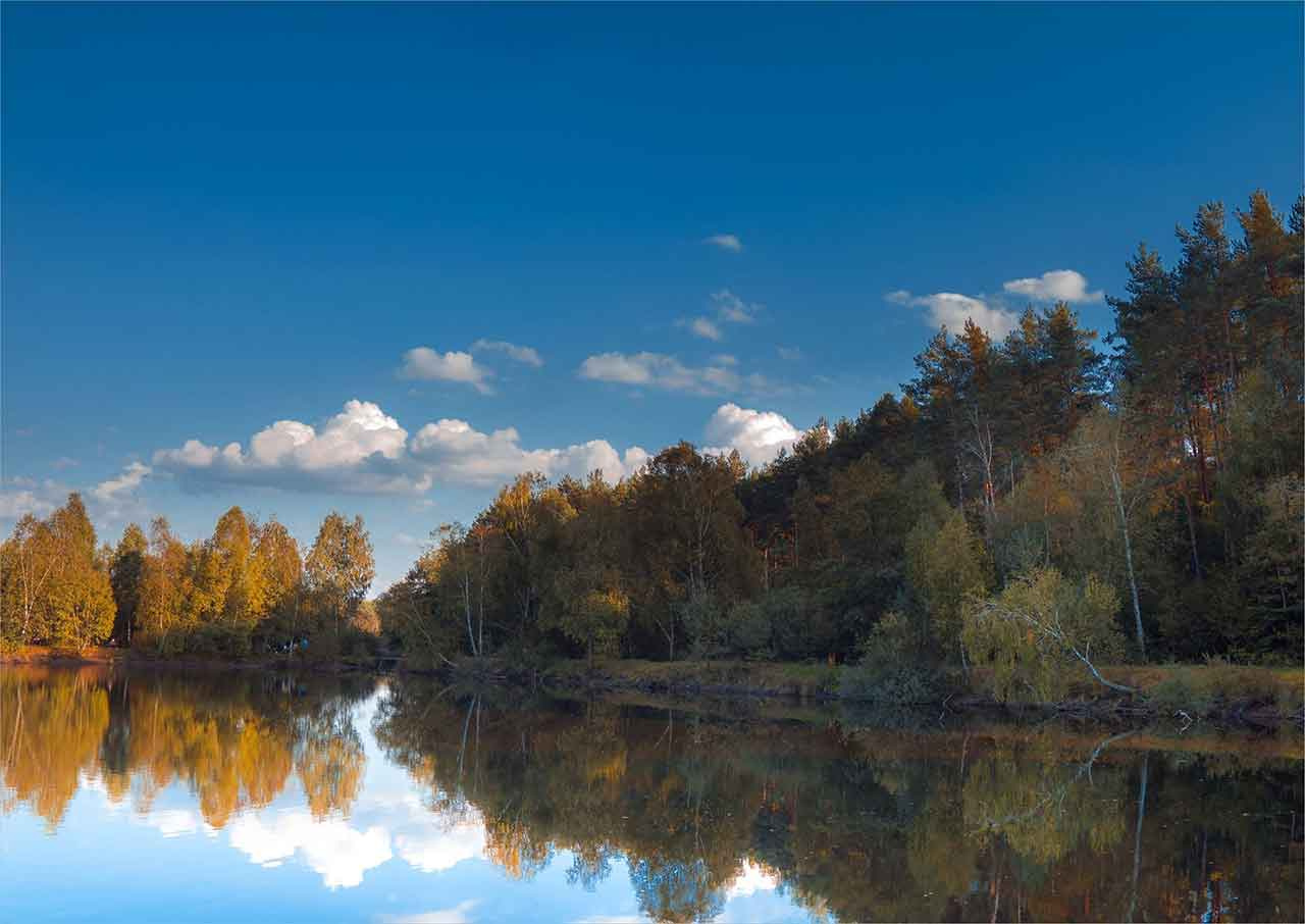 Природний заповідник Розточчя