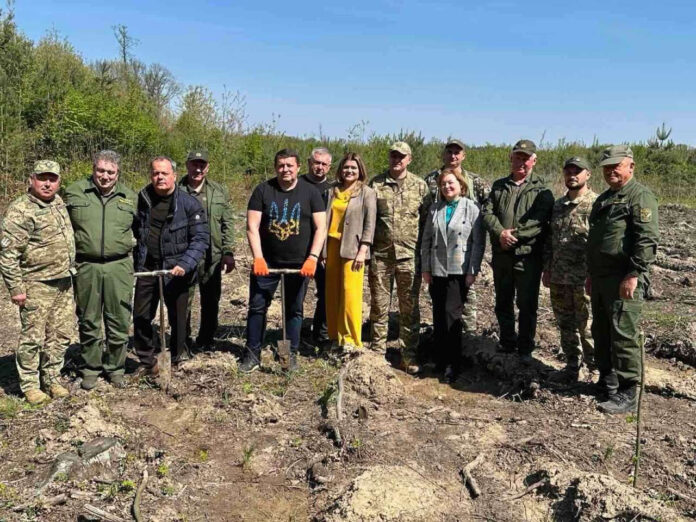 Саджанці дубів з Канева висадили у Судововишнянському лісництві