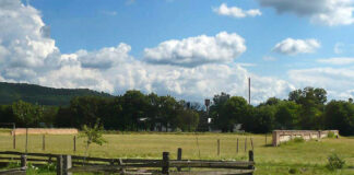 Рештки Замку у Білому Камені