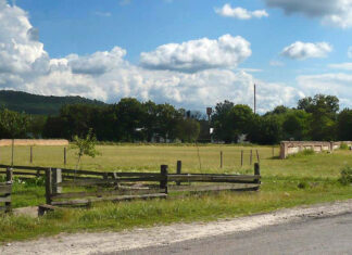 Рештки Замку у Білому Камені