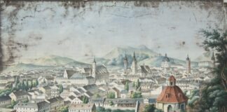 Панорама Львова, XIX століття.