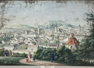 Панорама Львова, XIX століття.