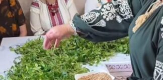 "Заплітання долі"