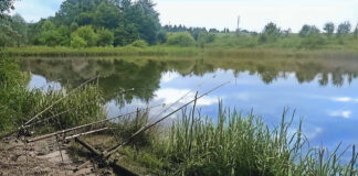 Риболовля в околицях села Медвежа