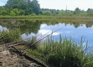 Риболовля в околицях села Медвежа