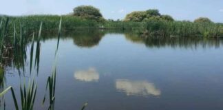 Озеро Лебедине