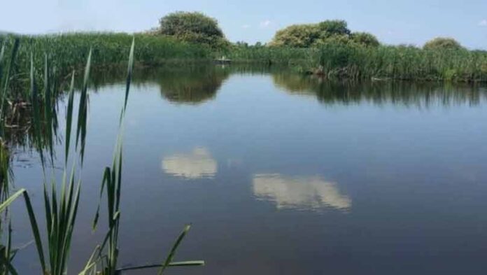 Озеро Лебедине