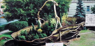 Єнджей Стенпак. Кош 2000 - Гігант. Місто Новий Томисль, 2000.