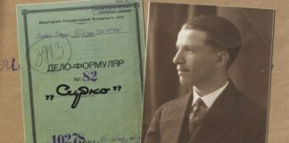 Петро Мірчук. Літописець УПА