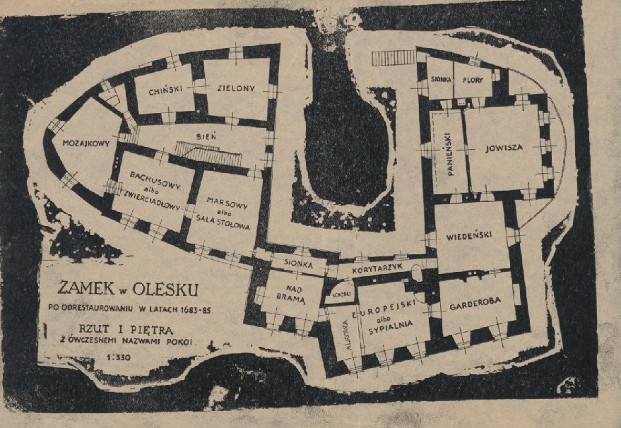 Олеський замок, 1891 р.