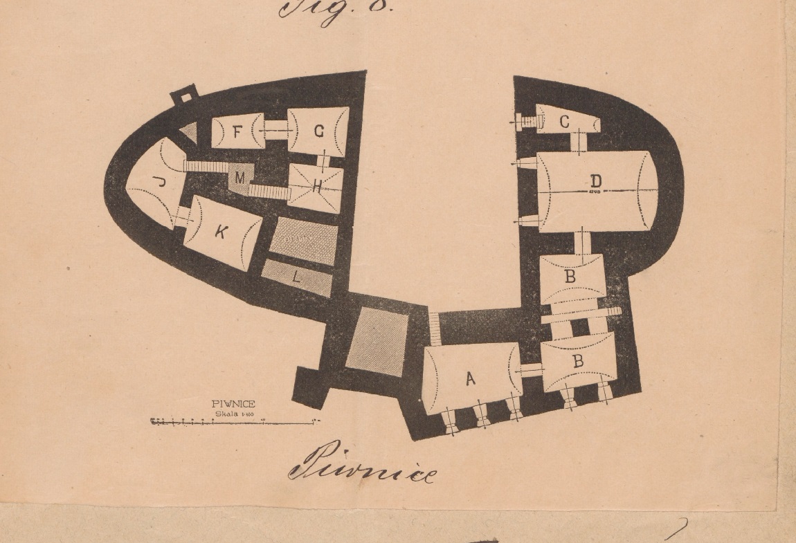 Олеський замок, 1891 р.