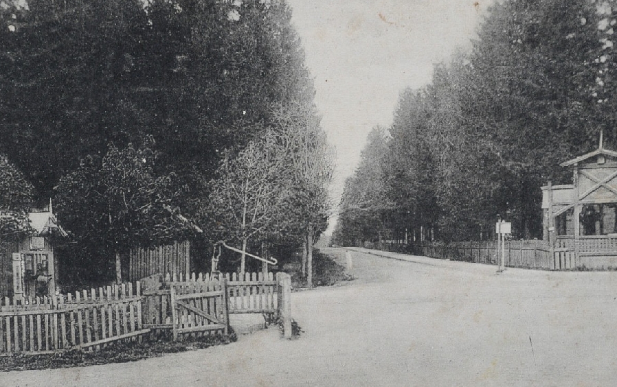 Брюховичі, кін. ХІХ — поч. ХХ ст.