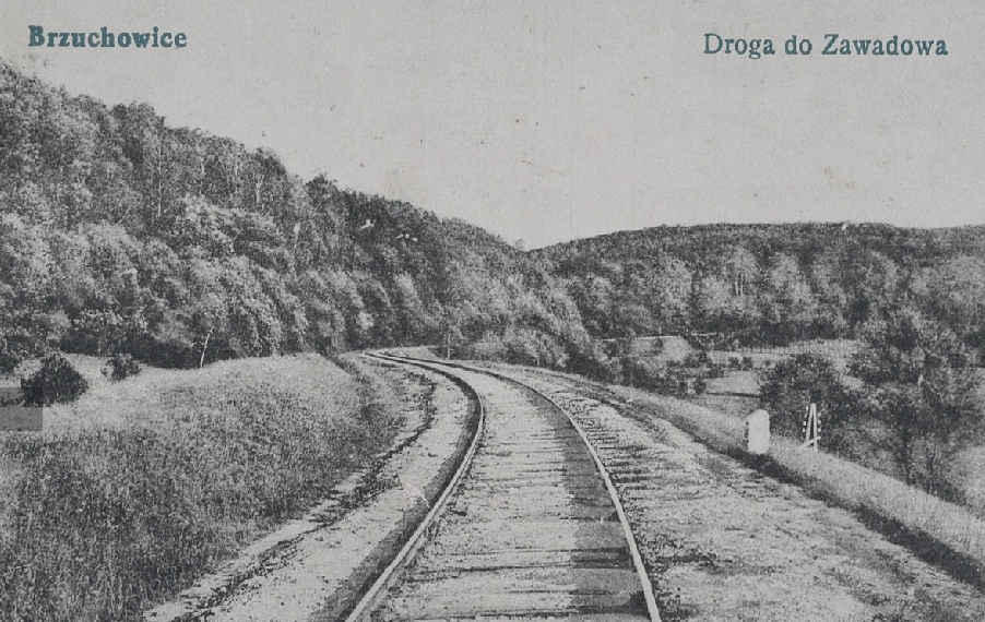 Брюховичі, кін. ХІХ — поч. ХХ ст.