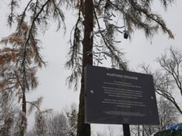 У Львові відкрили інсталяцію «Маятник чекання», присвячену зниклим безвісти захисникам / Фото: Ігор Федик, Укрінформ