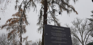 У Львові відкрили інсталяцію «Маятник чекання», присвячену зниклим безвісти захисникам / Фото: Ігор Федик, Укрінформ