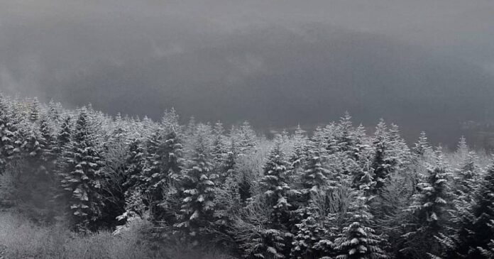 Сніг на Львівщині © ДПСУ