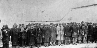 в’язні Янівського концтабору фото: museumterror.com