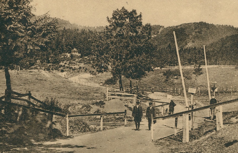 Міський ліс в Сколе, 1920-ті рр.