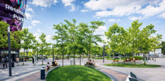 Озеленення торгових центрів