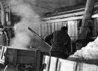 Соляна криниця, с. Бабине Самбірського р-ну (1886 р.)