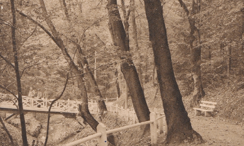 Трускавець, 1920-ті рр.