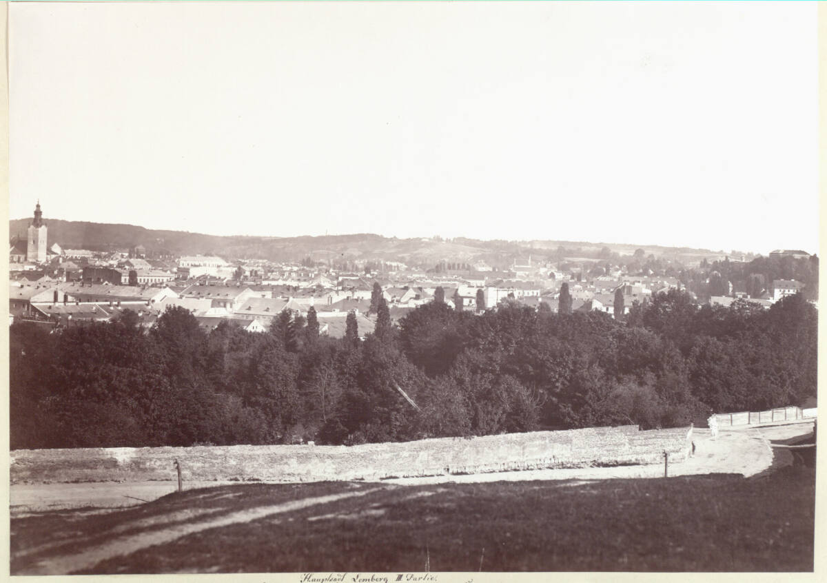 Панорама Львова, 1872 р. Фотограф Франц фон Райзінґер