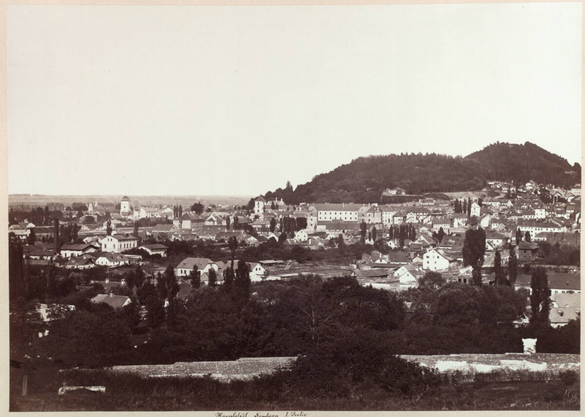 Панорама Львова, 1872 р. Фотограф Франц фон Райзінґер