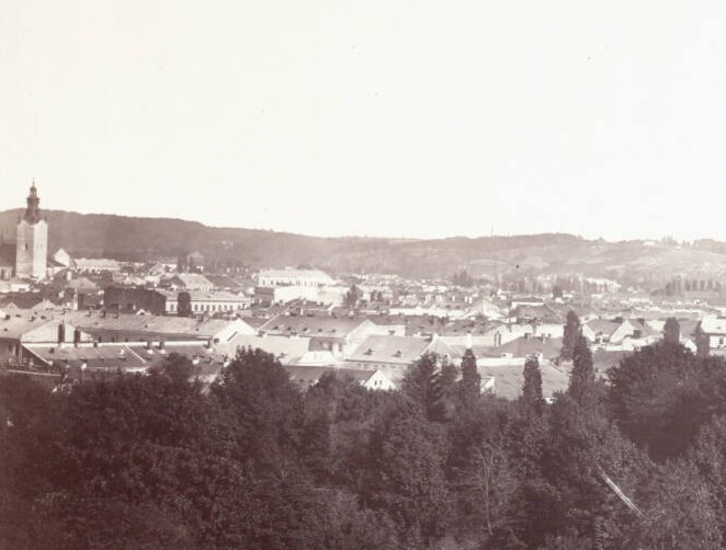 Панорама Львова, 1872 р. Фотограф Франц фон Райзінґер