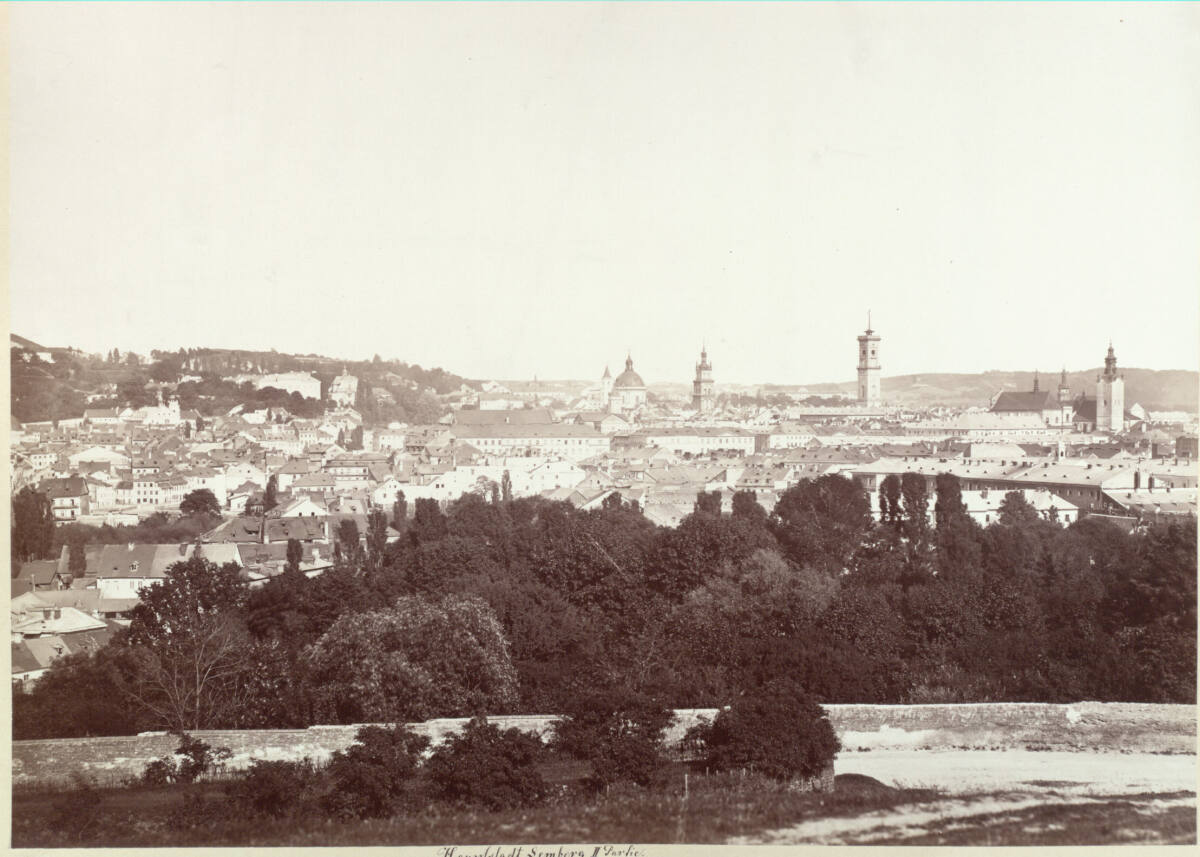 Панорама Львова, 1872 р. Фотограф Франц фон Райзінґер