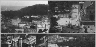 Панорама Львова, 1880-1910-ті рр.