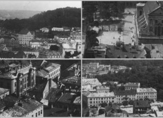 Панорама Львова, 1880-1910-ті рр.