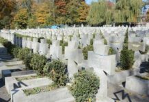 Львів’яни висадили дерева пам’яті, щоб оживити історію незламності ОУН.