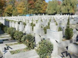 Львів’яни висадили дерева пам’яті, щоб оживити історію незламності ОУН.