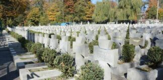 Львів’яни висадили дерева пам’яті, щоб оживити історію незламності ОУН.