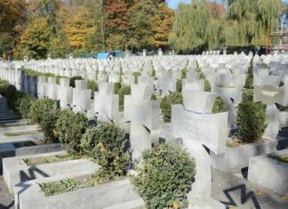 Львів’яни висадили дерева пам’яті, щоб оживити історію незламності ОУН.